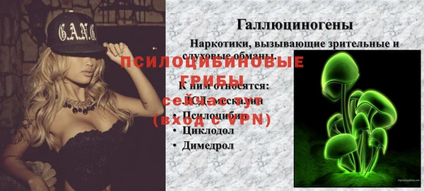 гашик Волосово